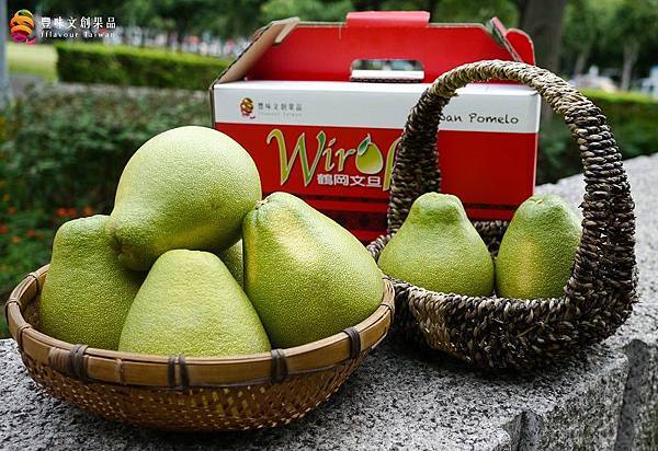 豐味果品鶴岡文旦禮盒1.jpg 豐味果品鶴岡文旦禮盒1.jpg