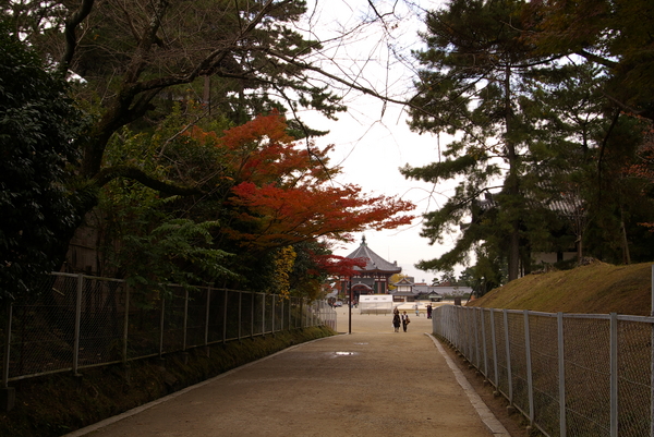 IMGP1703.jpg