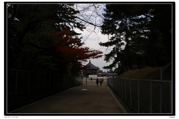IMGP1704.jpg