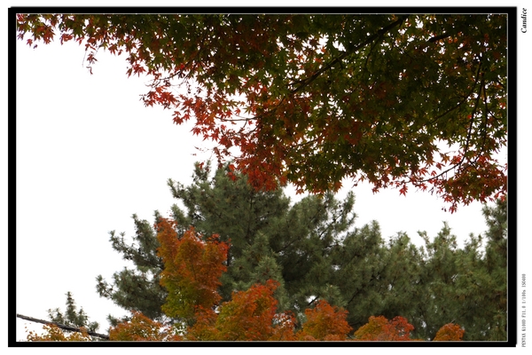 IMGP1708.jpg