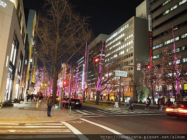 PC220147.JPG PC220147.JPG