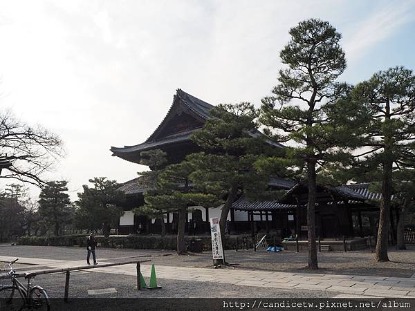 PC230296.JPG PC230296.JPG