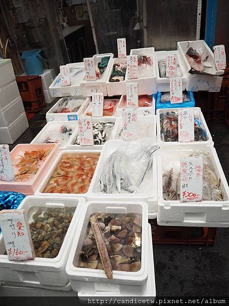 PC240364.JPG PC240364.JPG