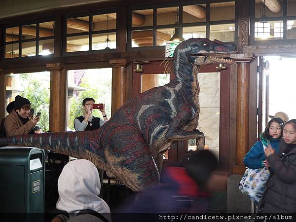 PC250588.JPG PC250588.JPG