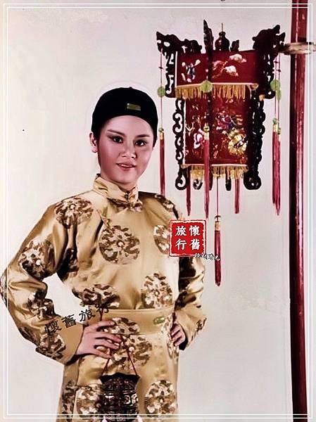 陳麗麗電視戲劇作品