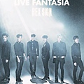 VIXX-Fantasia-Hex-Sign-vixx-37259861-500-716