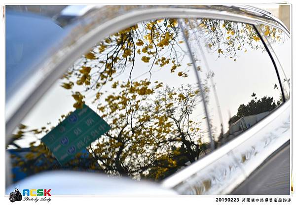 DSC_7399.JPG DSC_7399.JPG