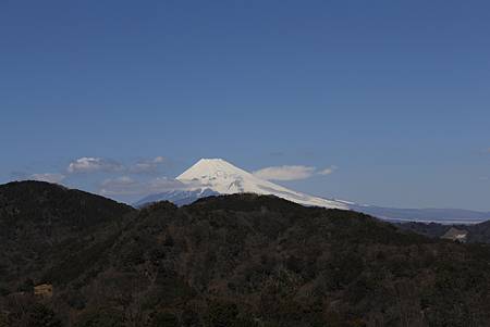 2014 . 流放..東京行_2014_03_22_2064.JPG