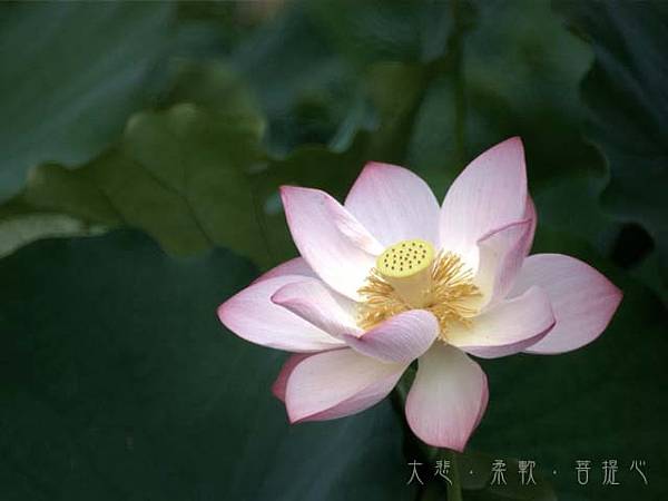 世俗我執的表現不易發現，必須迴光返照，警惕每一天的當下