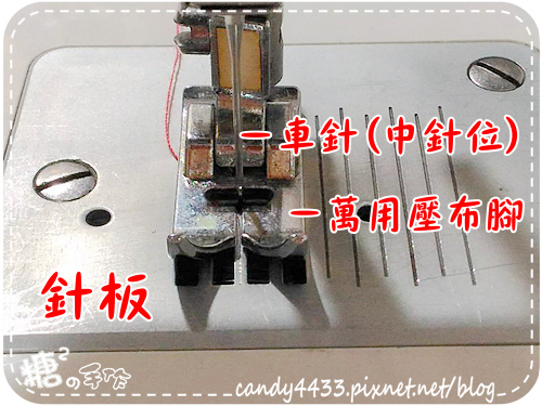 49097796_2377088932514497_1265836216293523456_n