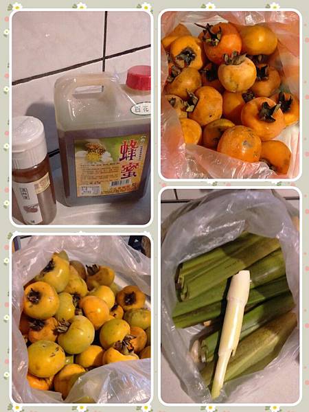 collage-1414084305063 collage-1414084305063