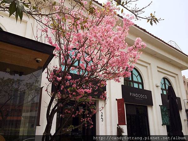 2016-04-05 13.08.18.jpg