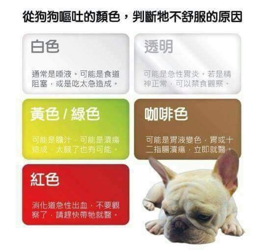 認識毛孩腸胃炎 毛孩鮮食秘密基地 痞客邦 認識毛孩腸胃炎 毛孩鮮食秘密基地 痞客邦