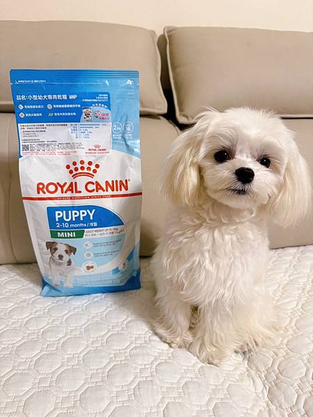 【狗狗飼料推薦】開箱法國皇家ROYAL CANIN小型幼犬飼