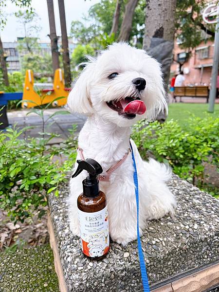 【寵物用品推薦】毛起來 蚤蟲高手防護噴霧，外出跑跑跳蚤蟲蟲不