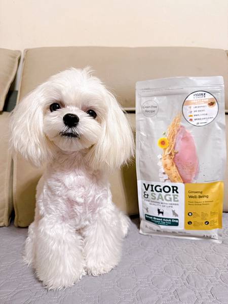 【狗狗飼料推薦】靈萃Vigor&Sage 荷蘭製造進口，80