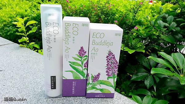 11211895_1010592525626374_255741823_o 試用