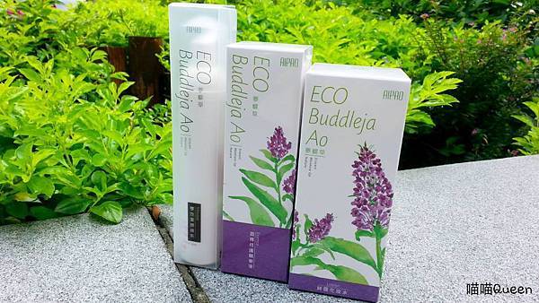 11535273_1010592228959737_574886228_o 試用