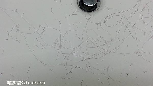 12168417_1077746002244359_221397134_o 試用