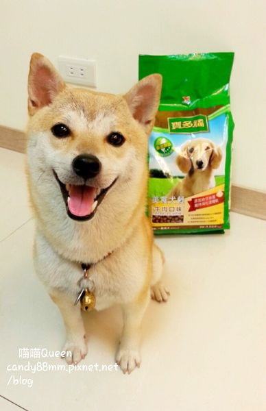 1466997125-1583078758_n