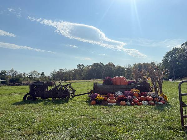 美國 West Virginia 南瓜農場 Town & C