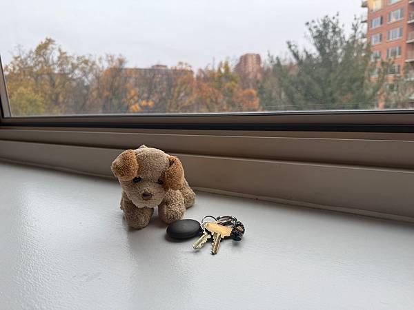 美國 華盛頓 義大利料理I’m Eddie Cano與搬家