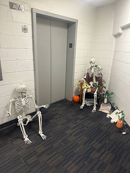 美國 華盛頓 2024 辦公室萬聖節