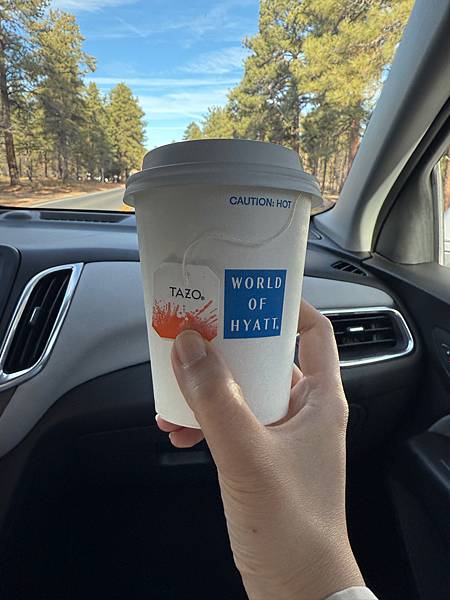 美國 Las Vegas-28 大峽谷國家公園Grand C