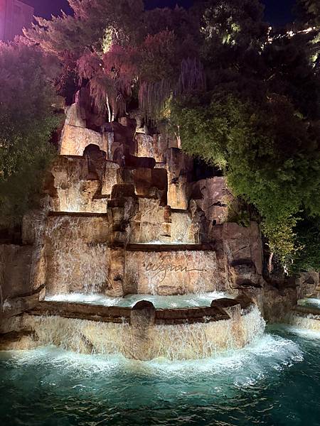 美國 Las Vegas-33 Wynn las Vegas