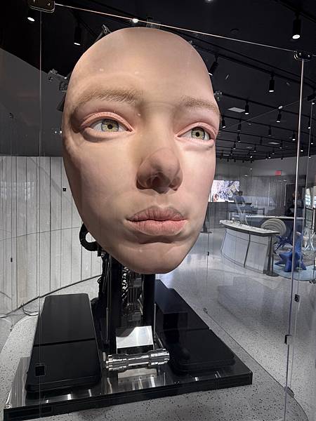 美國 Las Vegas-37 暢遊拉斯維加斯大道Las V