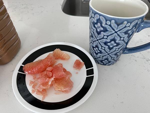 美國 華盛頓近郊 VA Sterling 長途旅行後的休息跟