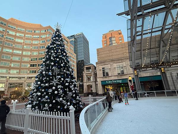 美國 華盛頓近郊 VA Reston 義式冰淇淋 Ice C