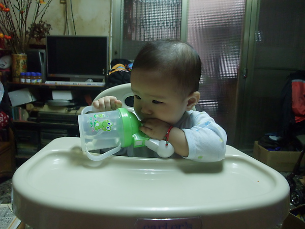 baby100316 019.jpg baby100316 019.jpg