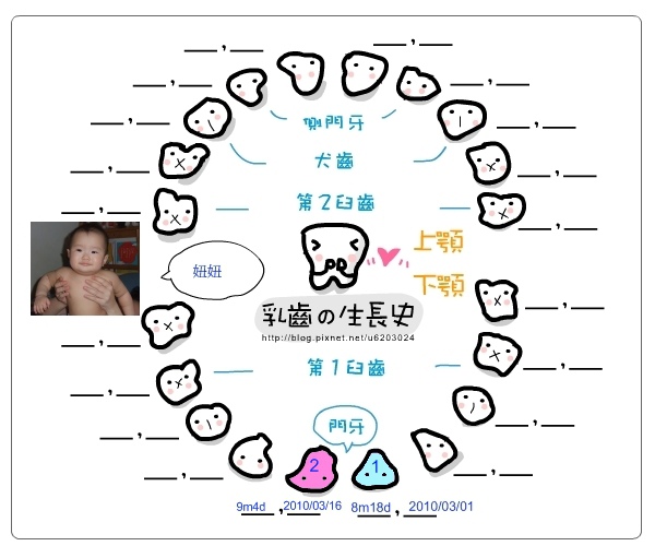 妞妞乳牙圖.jpg 妞妞乳牙圖.jpg