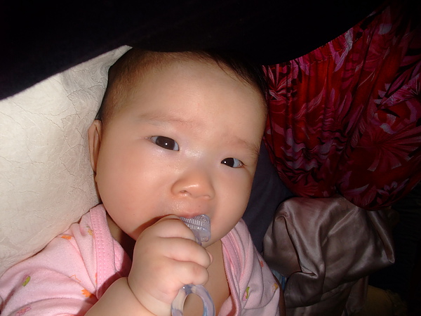 旋轉baby12013 018.jpg