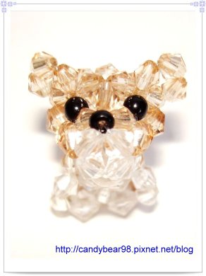 柴犬-正.jpg 柴犬-正.jpg