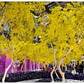 02.2010臺北國際花卉博覽會.jpg