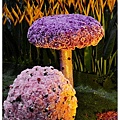 06.2010臺北國際花卉博覽會.jpg
