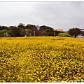 21.2010臺北國際花卉博覽會.jpg