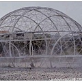 24.2010臺北國際花卉博覽會.jpg