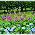 27.2010臺北國際花卉博覽會.jpg
