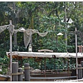 15.Hong Kong Disney Land.jpg