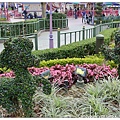 17.Hong Kong Disney Land.jpg