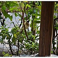 11.Riverview Cafe.jpg