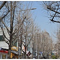 01.仁寺洞.jpg