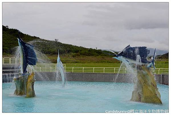 02.國立海洋生物博物館.jpg