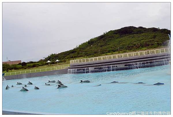 04.國立海洋生物博物館.jpg