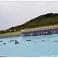 04.國立海洋生物博物館.jpg