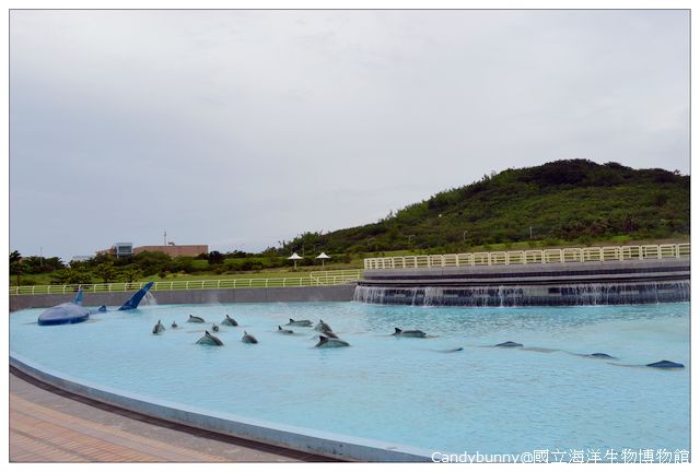 05.國立海洋生物博物館.jpg