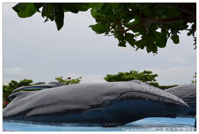 06.國立海洋生物博物館.jpg